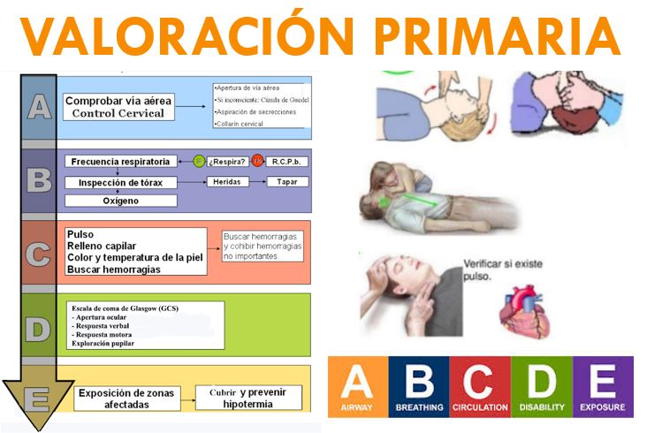 VALORACION PRIMARIA: ABC Y ABCDE - Oposición Bombero Online