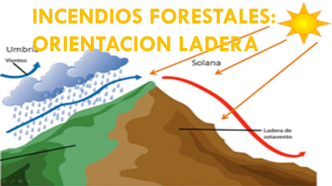 EXPOSICION LADERAS INCENDIO FORESTAL - Oposición Bombero Online